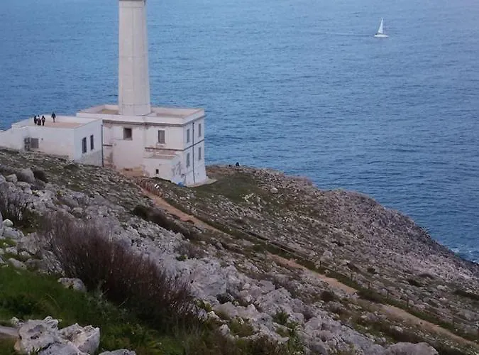 بيت للعطل White